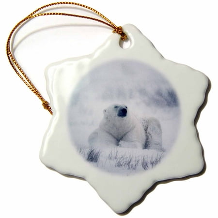 3dRose Polar Bear in a blizzard (Ursus maritimus) in Northern Arctic Churchil Canada - Snowflake Ornament,