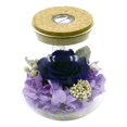 thumbnail image 1 of Regalo Navideño Para Mujeres: Rosas Frescas Con Luces De Colores De Colores, Botella De Deseos Blanca, 1 of 5