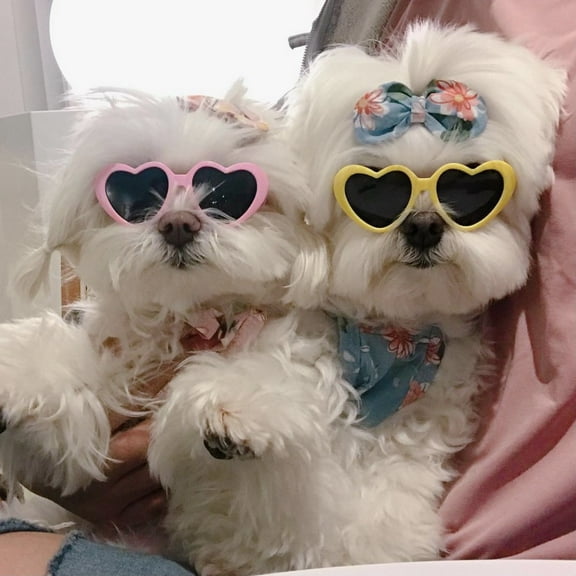 Dalrosia Pet Heart Sunglasses Photos Props Cute Pet Dog Sunglasses Cat Glasses Sun Flower Glasses Pets Party Decor for Small Dogs Cat Accessories Cute Pet Dog Sunglasses
