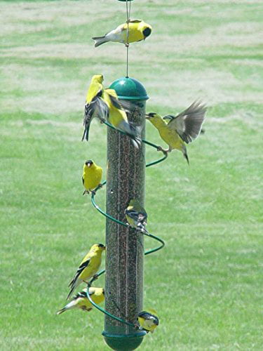Songbird Essentials Regular Holiday Nyjer Thistle Sack Red Green Bird Feeder 