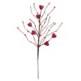 thumbnail image 3 of Esquejes de amor del día de San Valentín de corazón rojo ANGGREK Otros, 3 of 8