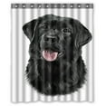 thumbnail image 1 of ABPHQTO Dibujo Perro Raza Labrador Negro Retrato Impermeable Poliéster Cortina de Ducha y Ganchos 150x180 cm, 1 of 1