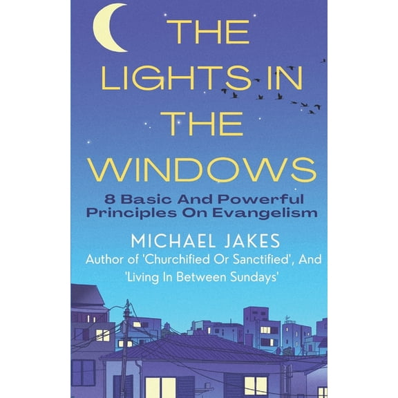 The Lights in the Windows (Paperback)