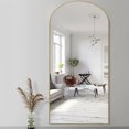 thumbnail image 3 of NeuType Full Length Plancher Arc Mirror Or 65"x22", 3 of 8