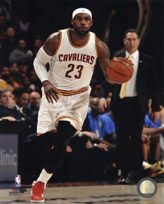 lebron james 2014