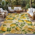 thumbnail image 2 of Lemon Outdoor Rug for Patio/Deck/Porch, Non-Slip Large Area Rug 5 x 8 Ft, Farmhouse Vintage Summer Retro Fruits Yellow Brown Indoor Outdoor Rugs Washable Area Rugs, Camping Rug Carpet Runner, 2 of 8