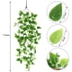 thumbnail image 2 of Paquete de plantas colgantes de imitación pared de hiedra falsa hogar porche jardín corona de boda decoración colgante al aire libre (sin cesta) Ormromra CZJJ-HQ83, 2 of 7