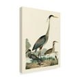 thumbnail image 2 of Trademark Fine Art 'Heron Family I' Canvas Art by Alexander Wilson, 2 of 4