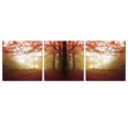 thumbnail image 3 of SENIK Autumn Leaves 3-Panel MDF Framed Photography Triptych Print, 72 x 24-in, 3 of 5