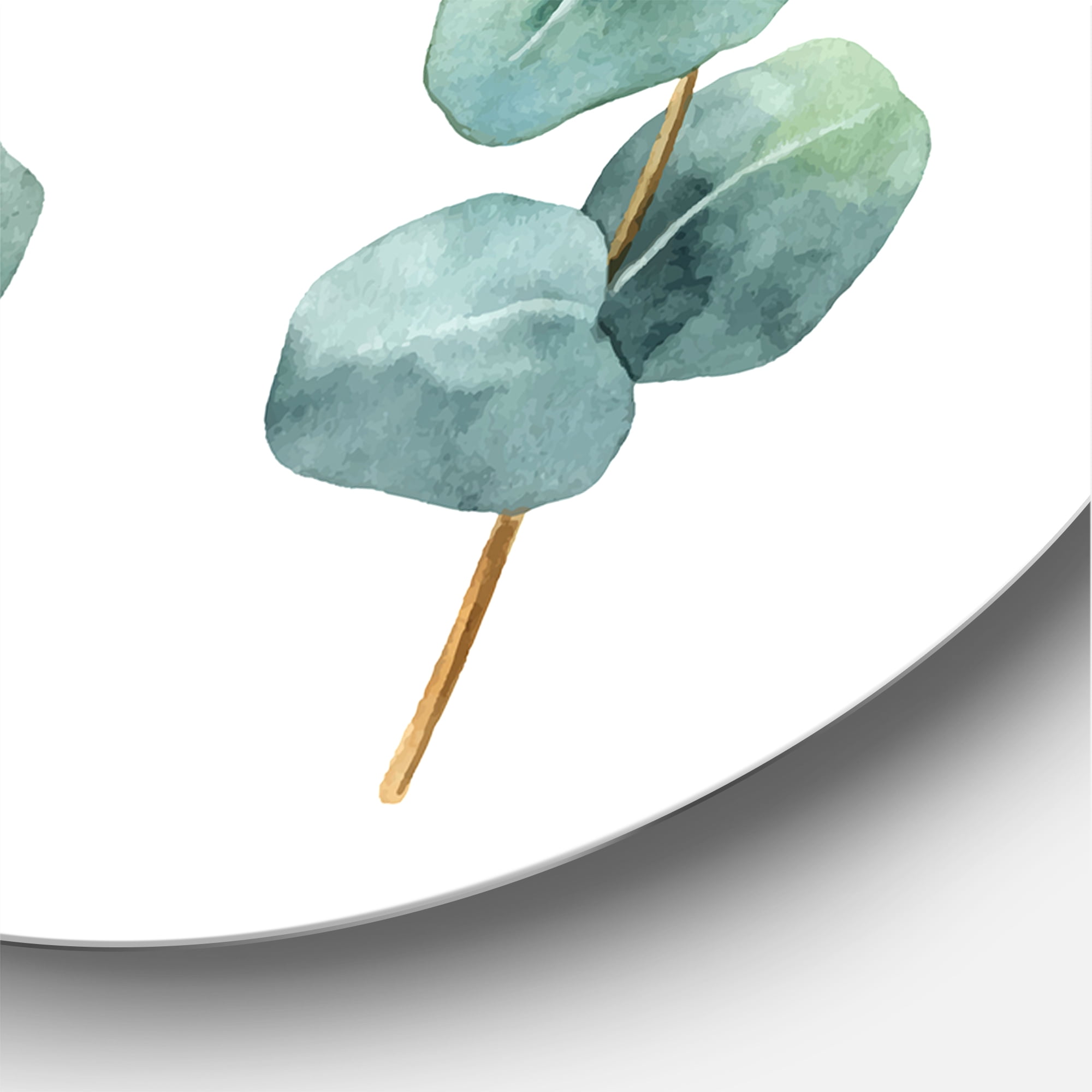 Designart 'Young Eucalyptus Branches and Leaves I' Traditional Circle Metal Wall Art 23x23 - Disc of 23