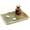 Green Onyx, variant on Radicaln Black Marble 12" Rectangle Serving Tray– Cafeteria Trays for Kitchen Countertop, Food & Food Tray, Decorative Coffee Table Platter, Serving Bowl for Entertaining & Dining Room