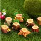 thumbnail image 3 of 16 Uds tocón pequeño tocón Micro musgo maceta de flores suculentas accesorios decoración de pasteles Decoración de mesa, 3 of 5