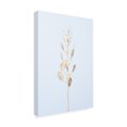 thumbnail image 3 of Trademark Fine Art Pictufy Studio Solitary Dried Plant Light Blue Canvas Wall Art, 3 of 4