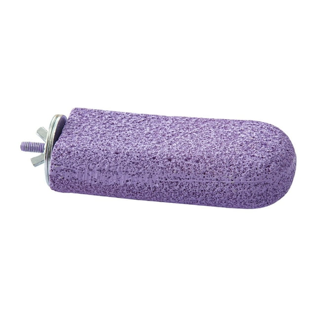 Percha para loros Salvador Violeta