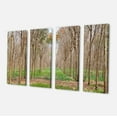 thumbnail image 2 of Beautiful Rubber Plantation Photo - Modern Forest Canvas Art, 2 of 3