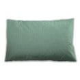 thumbnail image 1 of Ahgly Company Indoor Rectangular Contemporary Lumbar Throw Pillow, 13 inch by 19 inch, 1 of 5