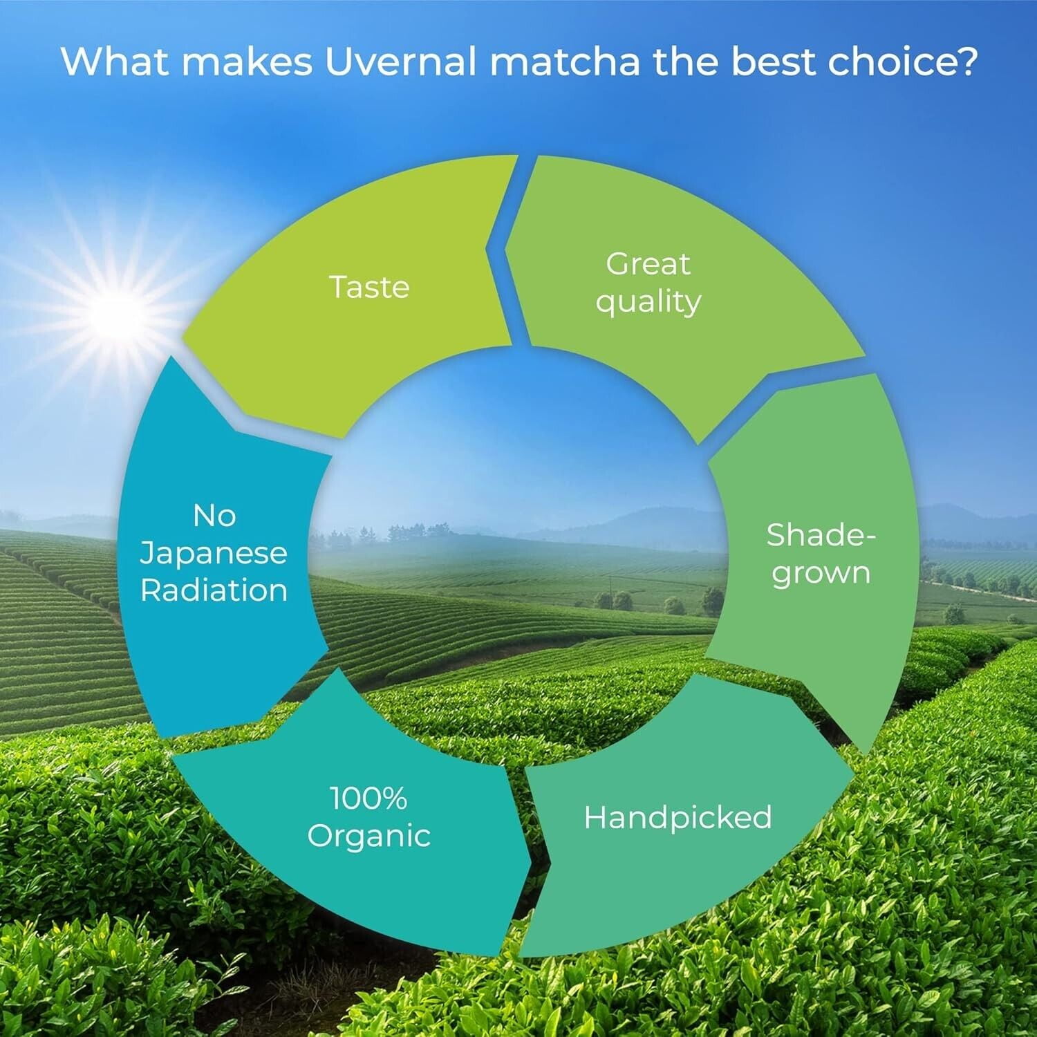 uVernal 3 Pack Organic Matcha Green Tea Powder - 100% Pure Matcha for Smoothies Latte and Baking Easy to Mix - 1LB