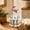 B, variant on Feledorashia Christmas Cash Gift Holder, Wooden Money Display Stand, Santa Snowman or Reindeer Character with Layered Slots for Holiday Notes, Freestanding Tabletop Accent for Mantel and Party Decor