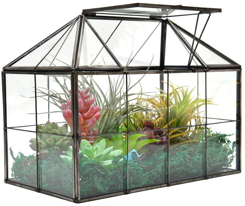 Xcman Large Tabletop Greenhouse House Shape Glass Terrarium Succulent Plant, Extra Large Round Glass Terrarium