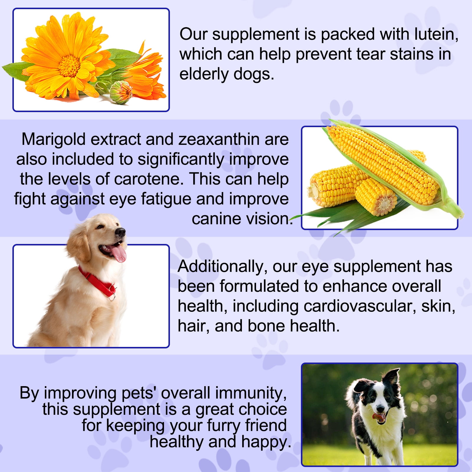 Oimmal Eye Supplements for Dogs - 180 Eye Chewable Tablets for Vision  Support - Eye Vitamins for Dogs Eye Care with Lutein, Cod Liver  Oil+Vitamins & Astaxanthin - Beef Flavor - Walmart.com