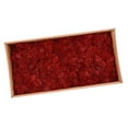 thumbnail image 4 of facefd Natural Dried Reindeer Moss Treated Immortal moss Crafts DIY Floral Decor Red, 4 of 5