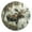 Gold, variant on Moose on Misty Lake Round Wall Clock Battery Operated Silent Non-Ticking Bedroom Office Kitchen Home School Decor 10"(Black)
