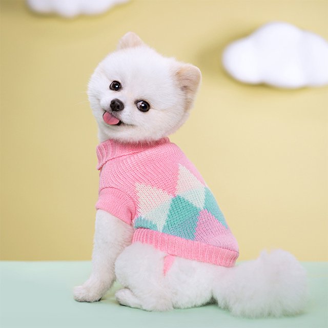 Nueva Llegada Ropa Para Mascotas Suéter De Punto Multicolor Para Mantener El Calor Y La Moda