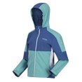 thumbnail image 3 of Regatta Boys/Girls Acidity VI Lightweight Soft Shell Jacket, 3 of 5