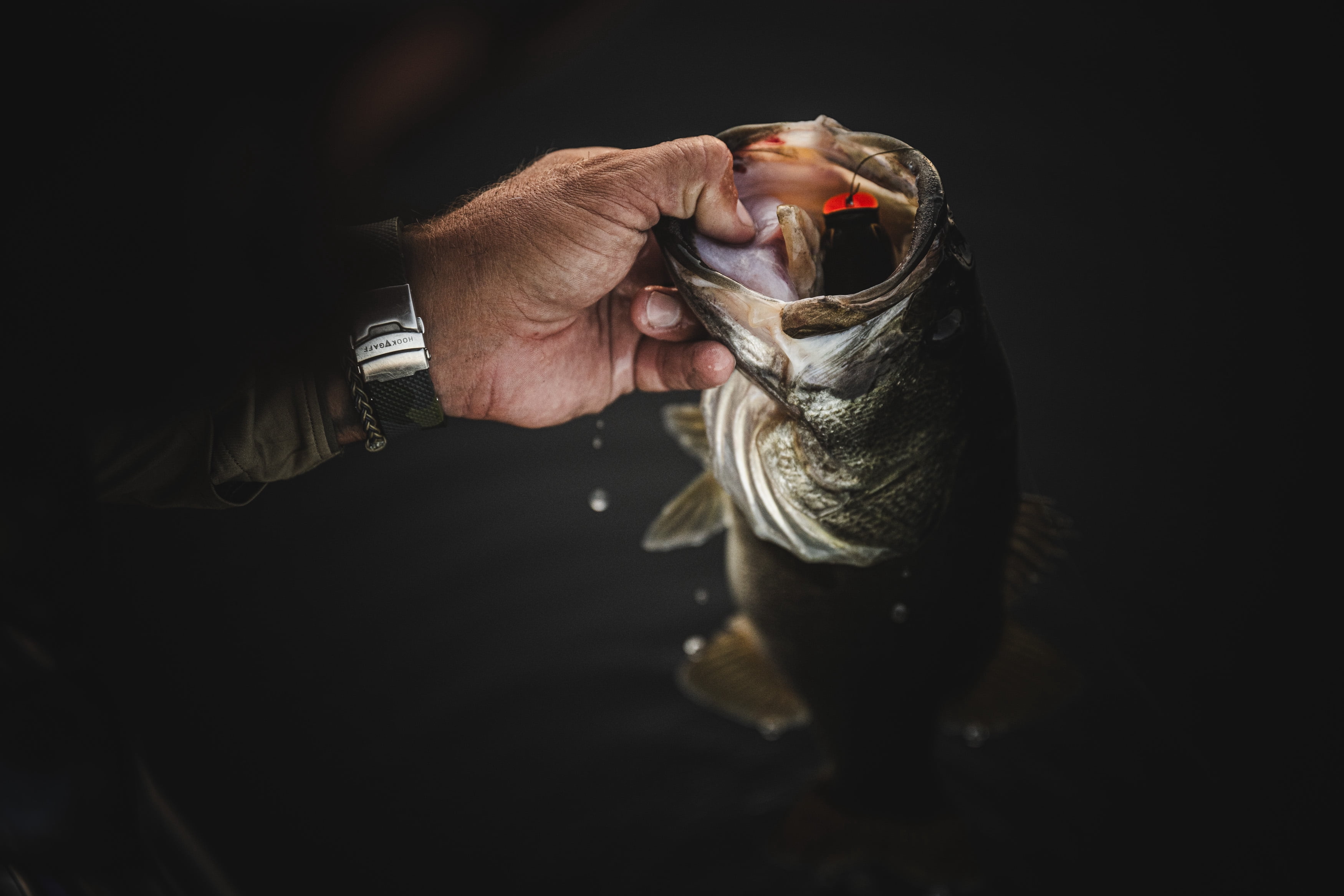 Berkley PowerBait® CullShad, 6 in, Chrome Flash