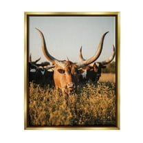 Stupell Industries Longhorn Herd Photography Animals & Insects Photography Gold Floater Framed Canvas Art Print Wall Art, 17 x 21