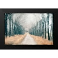 thumbnail image 2 of Allen, Kimberly 18x13 Black Modern Framed Museum Art Print Titled - Pathway in the Mist, 2 of 5