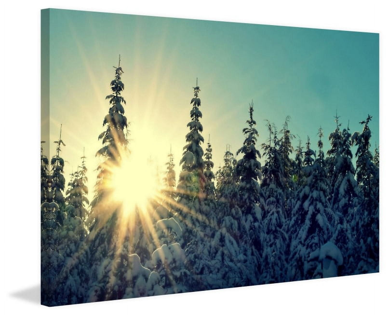 Marmont Hill "Shine Bright" by Robert Dickinson Painting Print on Canvas