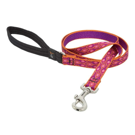 LupinePet Originals 3/4" Alpen Glow 6-Foot Padded Handle Leash for Medium and Larger Dogs