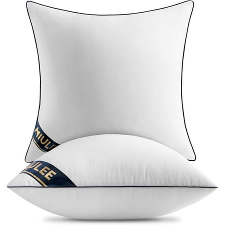 

MIULEE 16x16 Pillow Inserts Set of 2 Throw Pillows 20 Inch Premium Down Alternative Pillow Inserts Decorative Pillow Stuffer for Sofa Couch (16x16 inch Set of 2)