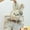 B1, variant on Bunny Stuffed Animal Retro Couple Rabbit Toys Valentines Day Decorations, 13.7" Soft Stuffed Bunny Couple Dolls Creative Valentines Day Gifts