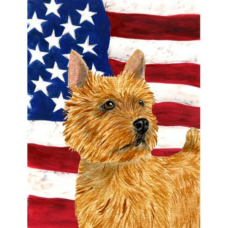 USA American Flag with Norwich Terrier Flag