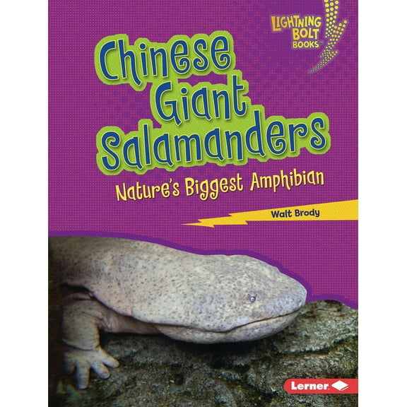 Lightning Bolt Books (R) -- Nature' Chinese Giant Salamanders: Nature's Biggest Amphibian, (Hardcover)