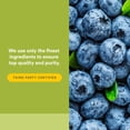 thumbnail image 5 of Natural Factors HerbalFactors Bilberry, Nutritional Support for Vision, 60 Capsules, 5 of 7