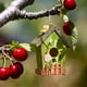 thumbnail image 4 of Pajarito colgante de resina Pajarito de exterior Pajarito decorativo Pajarito novedoso Pajarito decorativo Pajarito de jardín Decoración de exterior Amantes de los pajaritos, 4 of 5