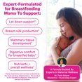 thumbnail image 3 of Pink Stork Lactation Supplement with Fenugreek, Supports Breastfeeding and Postpartum, 60 Capsules, 3 of 9