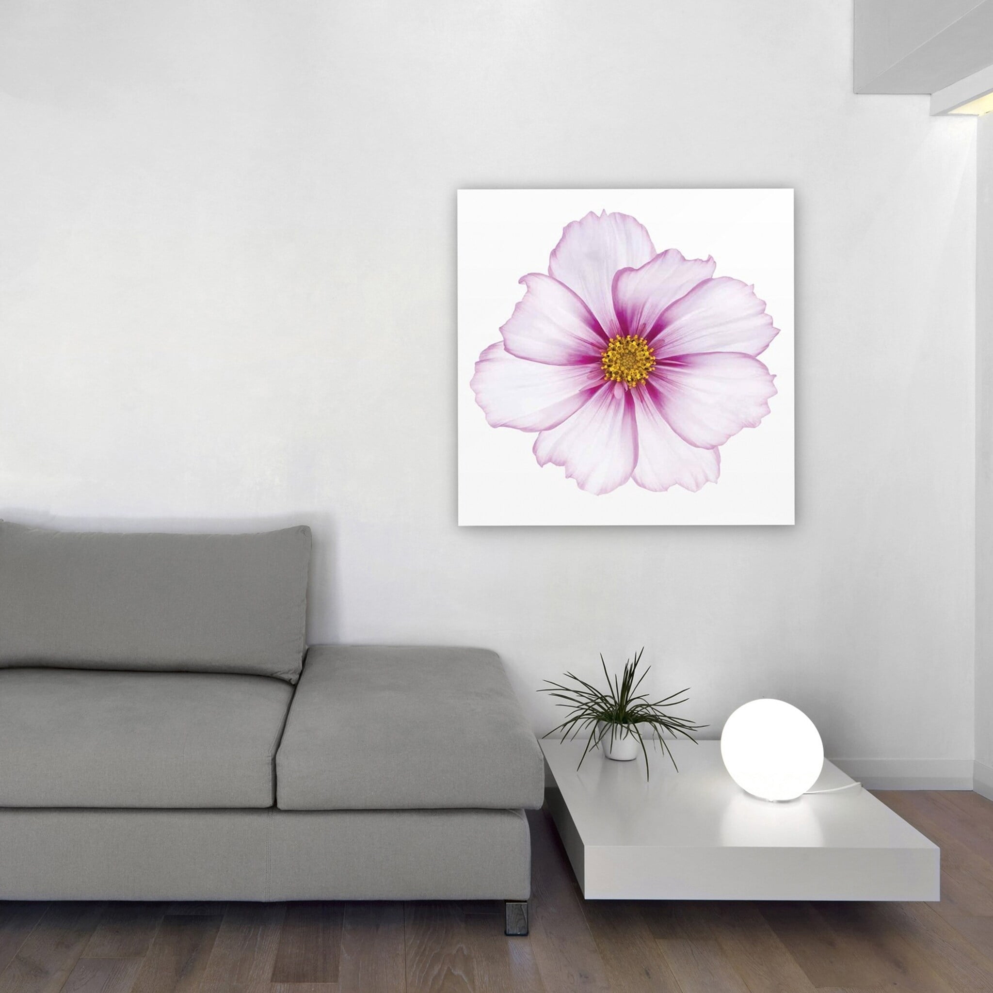 Empire Art Direct Magenta Cosmo Frameless Free Floating Tempered Glass Panel Graphic Wall Art, 40" x 40" x 0.2", Ready to Hang