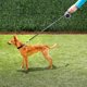 thumbnail image 2 of Correa retráctil Correa flexible Correa resistente con linterna y dispensador de bolsas para perros pequeños y medianos, 2 of 5
