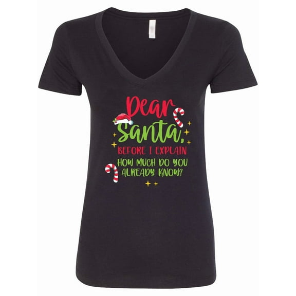 Inktastic Christmas Dear, Santa Before I Explain How Much Do You Know? Women's V-Neck T-Shirt