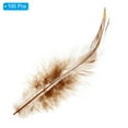 thumbnail image 3 of Uxcell 5-6 Inch Rooster Feathers, 100 Pack Bulk Natural Feathers for Crafts Style 2, Brown, 3 of 5