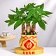 thumbnail image 1 of Florero de cerámica, maceta, forma de bolsa de dinero, decoraciones de la , arte de para arreglos florales, decoración de , Dorado BLESIY florero, 1 of 8