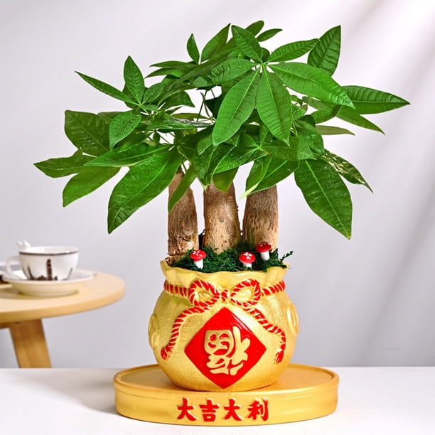 Florero de cerámica, maceta, forma de bolsa de dinero, decoraciones de la , arte de para arreglos florales, decoración de , Dorado BLESIY florero