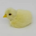 thumbnail image 3 of Realistic Chick Decora Animal Doll Simulation Chicken Model Plush Easter, 3 of 8