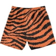 thumbnail image 2 of Boys Swim Trunks Beach Board Shorts Quick Dry Toddler Swimsuit Bathing Suits with Mesh Lining, 2 of 6