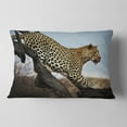 thumbnail image 2 of Designart Leopard Walking on Tree - African Throw Pillow - 12x20, 2 of 5
