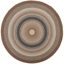 SAFAVIEH Braided Angel Colored Bordered Area Rug, Brown/Multi, 8' x 8' Round